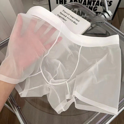 Sous-vêtements pour hommes ultra-fins, transparents et sans coutures