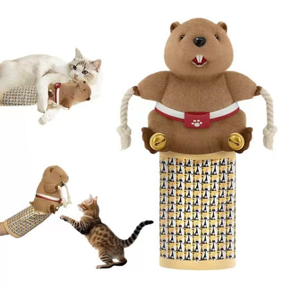 🐱🧸 Jouet Interactif pour Chat – Peluche à Enfiler sur la Main