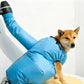 🐶✨ Sac de Séchage pour Animaux – Manteau à Séchage Rapide pour Chiens et Chats