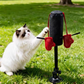 🐱🥊 Jouet de boxe interactif pour chat – Le summum du jeu