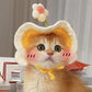🐱🐶 Bonnet amusant pour chats et chiens