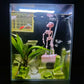 💀 Décoration d'aquarium squelette dansant