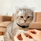 🐱🛡️ Collerette boule pour chat – Protection anti-léchage & anti-griffure