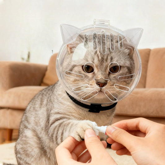 🐱🛡️ Collerette boule pour chat – Protection anti-léchage & anti-griffure