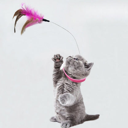 🐱 Collier pour chat 2026 avec plume & clochette 🎀 Jouet d'occupation autonome pour chat