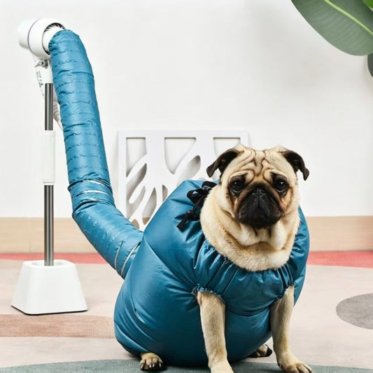 🐶✨ Sac de Séchage pour Animaux – Manteau à Séchage Rapide pour Chiens et Chats
