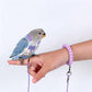 🦜✨ Harnais pour Oiseau avec Laisse – Sortez Ensemble en Toute Sécurité