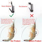 Live Fish Hook on Shrimp Back