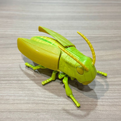 Jouet à remonter insecte rampant réaliste – gadget farce et décoration 🐜