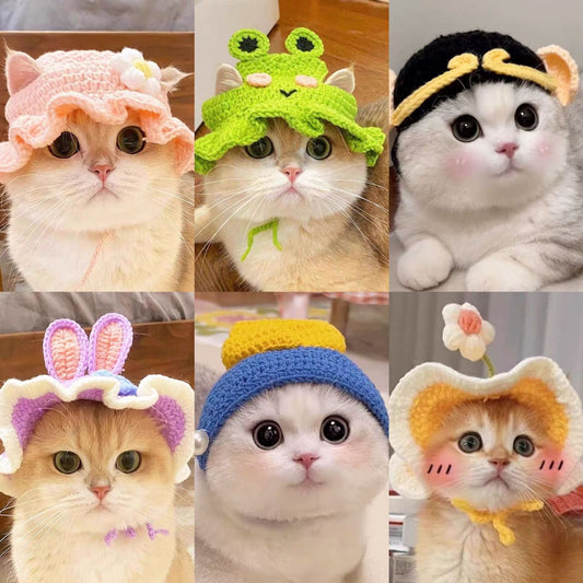 🐱🐶 Bonnet amusant pour chats et chiens