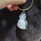 Porte-clés rangement poils de chat transparent boîte cheveux chat 🐱
