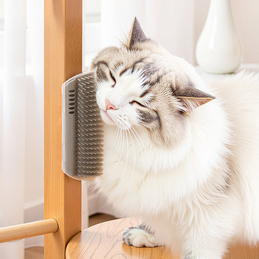 🐱🌿 Brosse de Massage Murale pour Chat avec Herbe à Chat