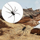 🕷️ Aimants de réfrigérateur araignée