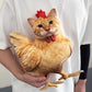 🐱🐔 Coussin Chat Poulet Amusant – Décoration Originale 2026 ✨