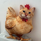 🐱🐔 Coussin Chat Poulet Amusant – Décoration Originale 2026 ✨