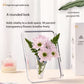 Vase cadre photo acrylique 2026 transparent déco table fleurs hydroponie salon
