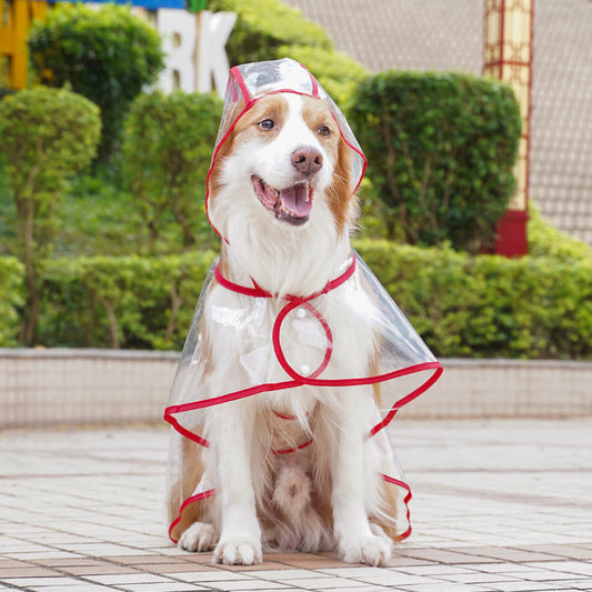 🐶☔ Imperméable transparent pour chien – Protection contre la pluie et le vent
