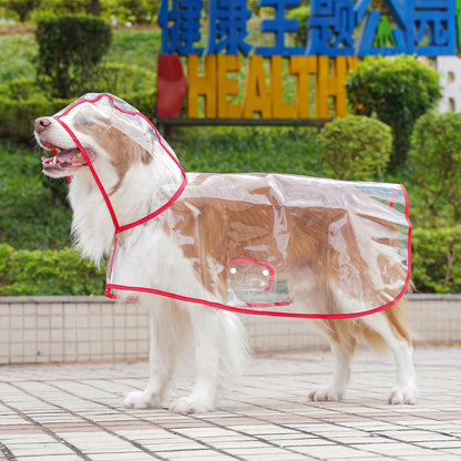 🐶☔ Imperméable transparent pour chien – Protection contre la pluie et le vent