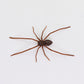🕷️ Aimants de réfrigérateur araignée