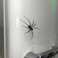 🕷️ Aimants de réfrigérateur araignée