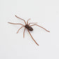 🕷️ Aimants de réfrigérateur araignée