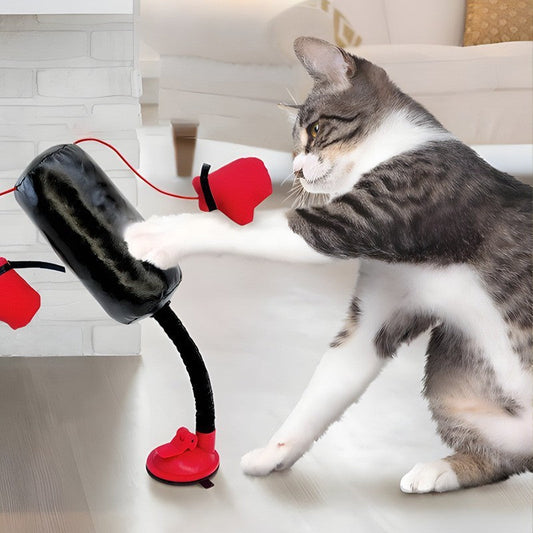 🐱🥊 Jouet de boxe interactif pour chat – Le summum du jeu