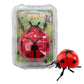 Jouet à remonter insecte rampant réaliste – gadget farce et décoration 🐜