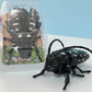 Jouet à remonter insecte rampant réaliste – gadget farce et décoration 🐜