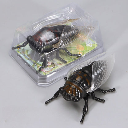 Jouet à remonter insecte rampant réaliste – gadget farce et décoration 🐜