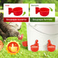 🔥 Abreuvoir et mangeoire automatiques pour poules et oiseaux