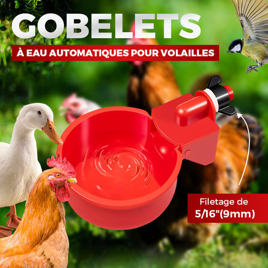 🔥 Abreuvoir et mangeoire automatiques pour poules et oiseaux