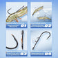 Live Fish Hook on Shrimp Back