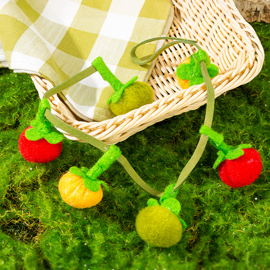 ✨Filet à chat interactif en forme de fruit