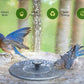 ⏳Offre à durée limitée⏰Pompe solaire compacte pour fontaine à oiseaux – Donnez vie à votre jardin ! 🐦️
