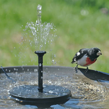 ⏳Offre à durée limitée⏰Pompe solaire compacte pour fontaine à oiseaux – Donnez vie à votre jardin ! 🐦️